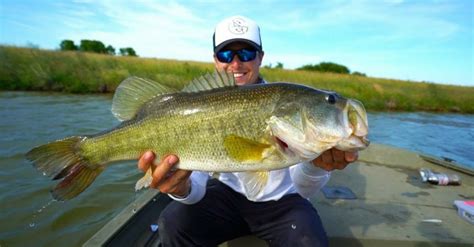 Shop over 100,000 items of fishing tackle, rods, reels, lures, and more at LandBigFish.com. Find today's deep discounts, new products, featured videos, and fishing news and announcements.